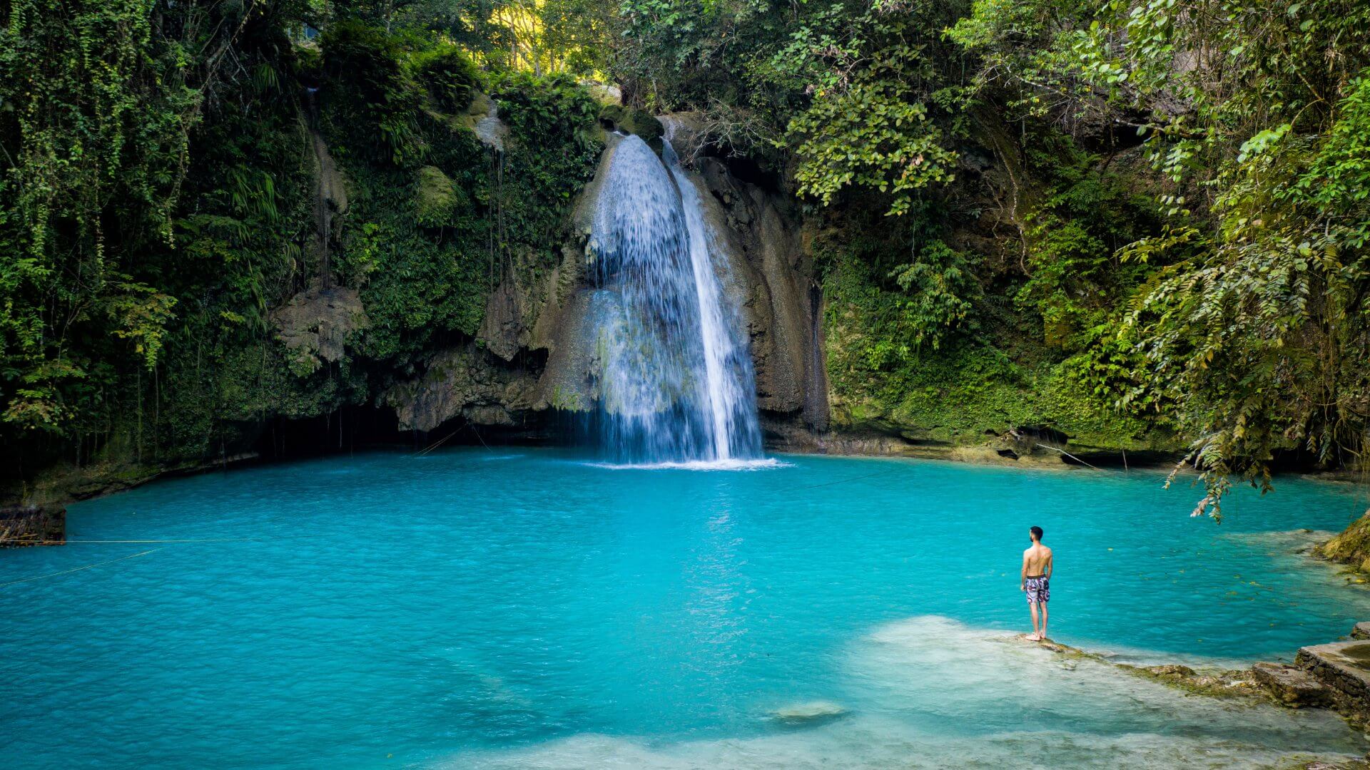 Kawasan Falls Cebu Alegria
