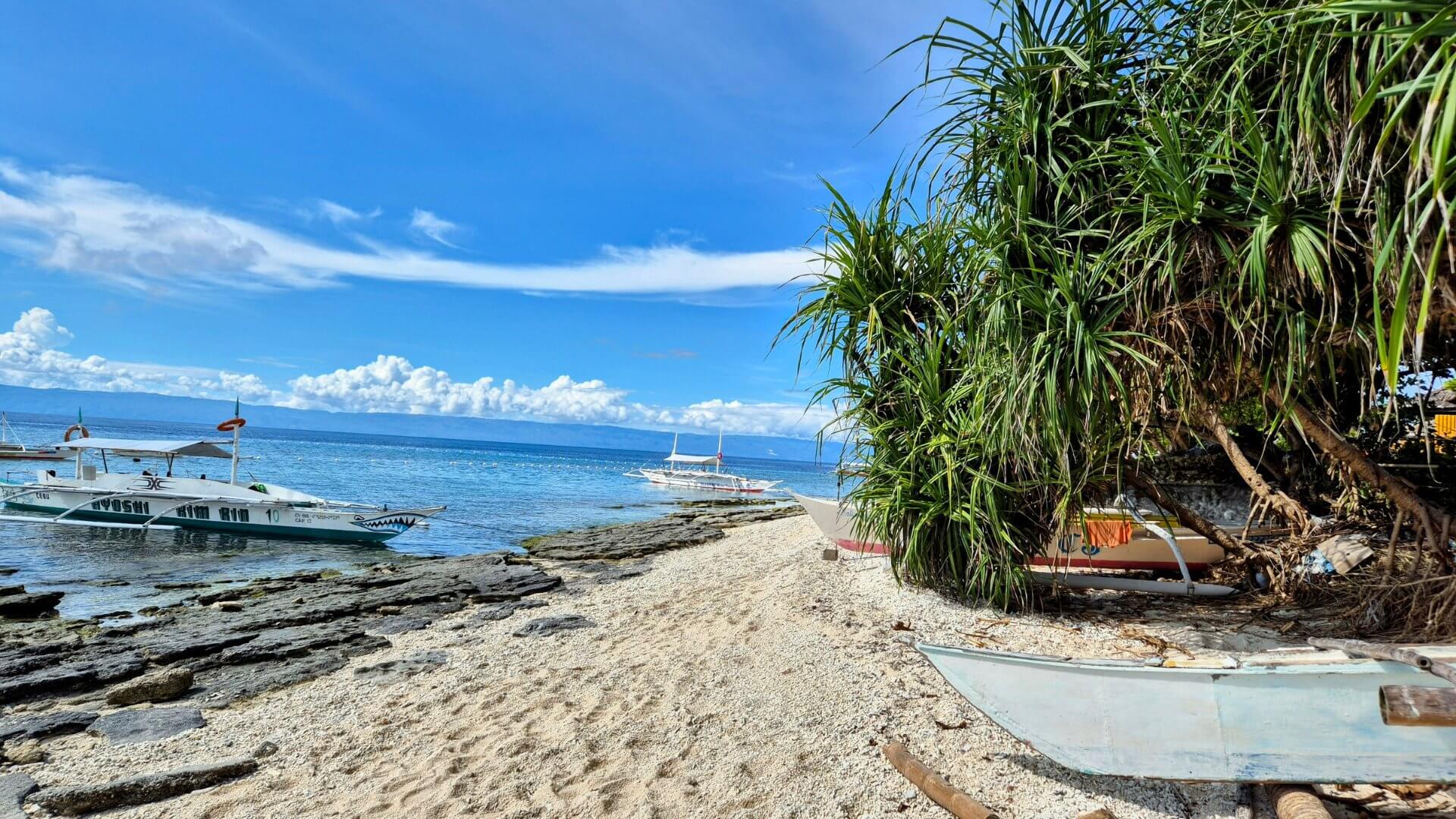 Balicasag Island Public Beach Balicasag Island Public Beach
