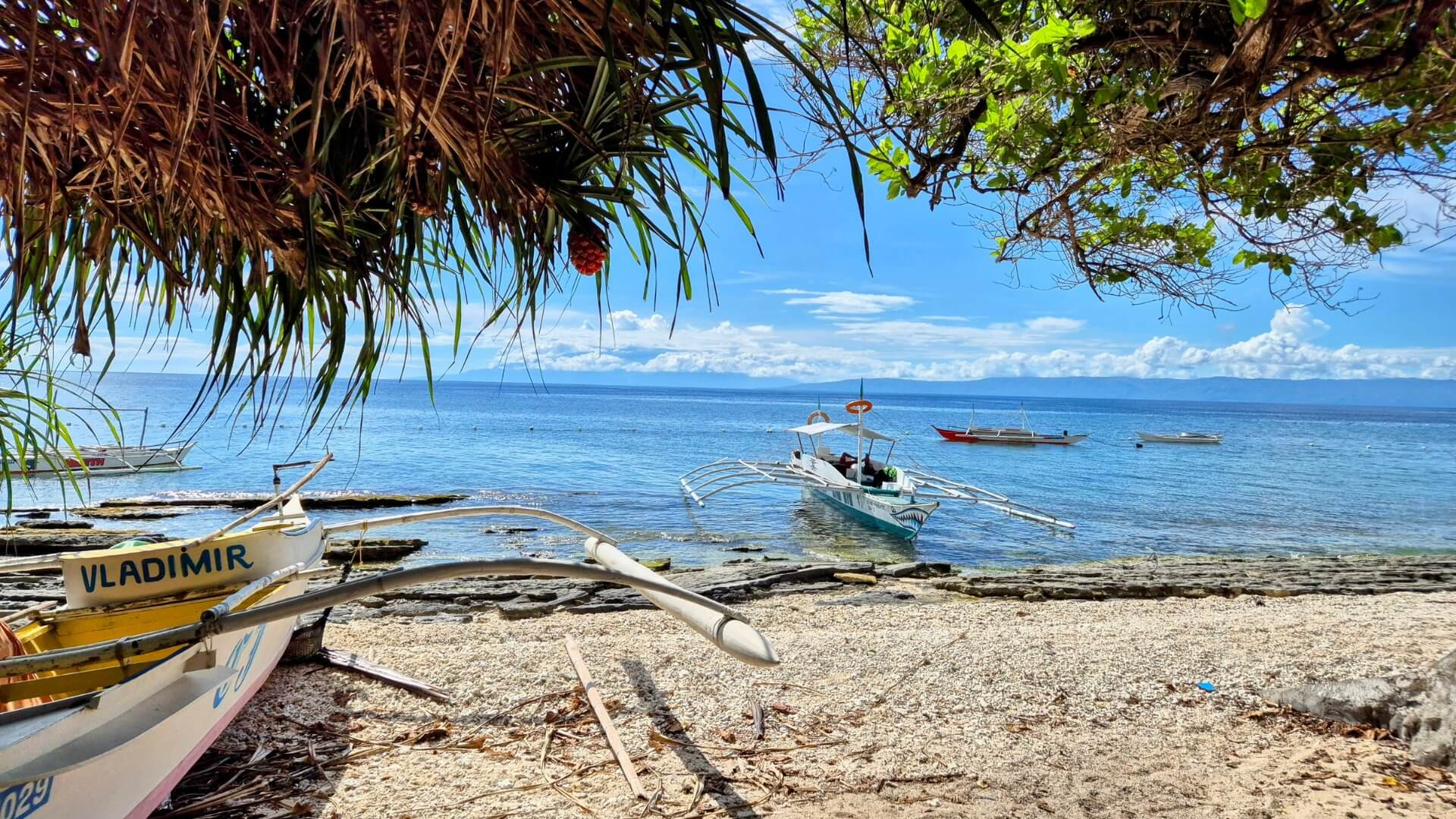 Balicasag Island Strand Balicasag Island Strand