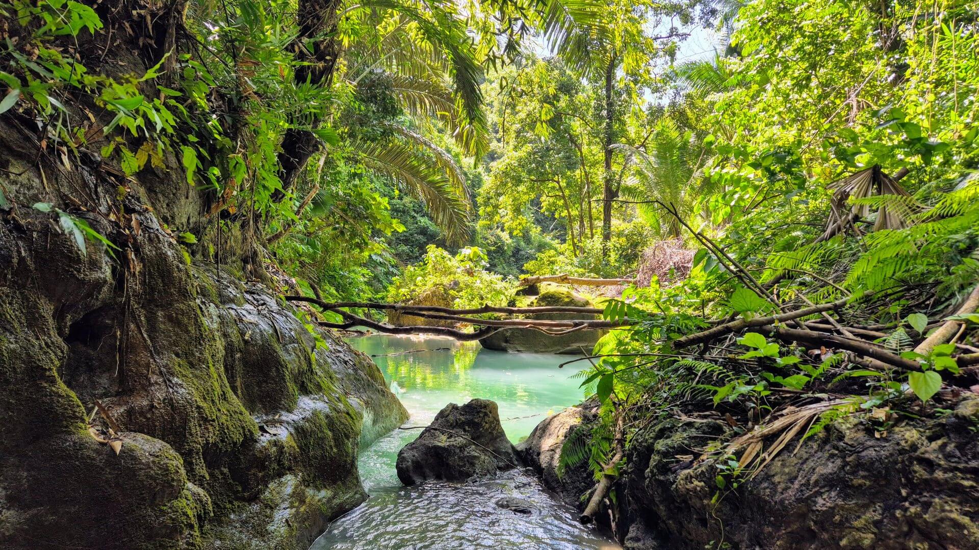 Dao Falls Cebu Lagune