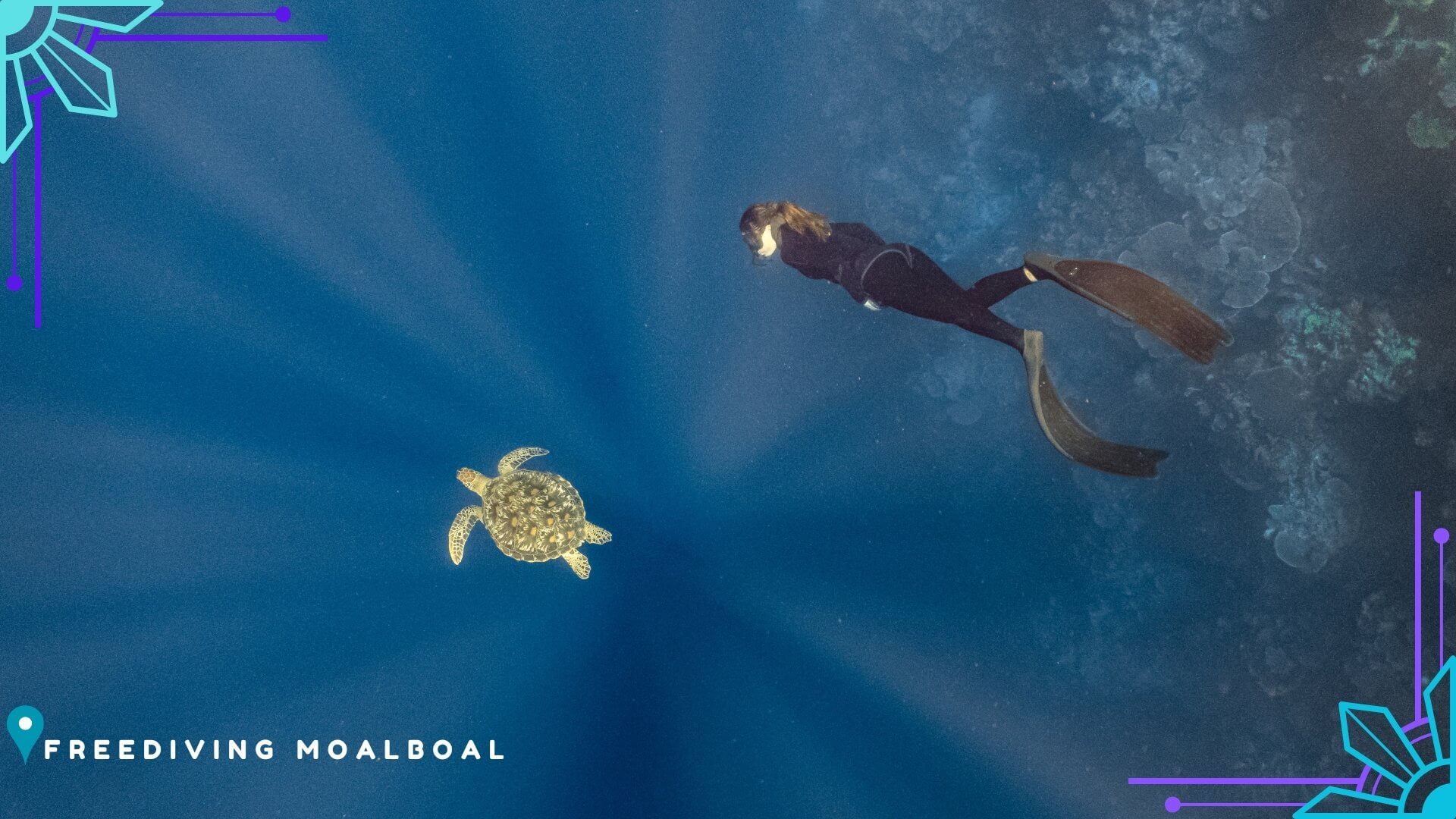 Moalboal Freitauchen Moalboal Freitauchen