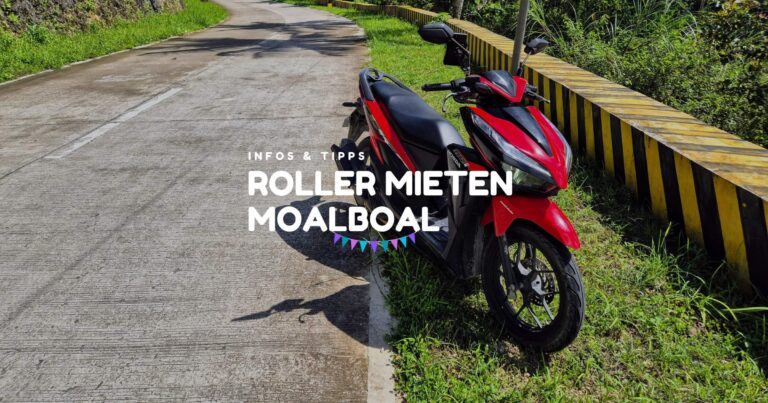 Roller mieten Moalboal Tipps & Informationen