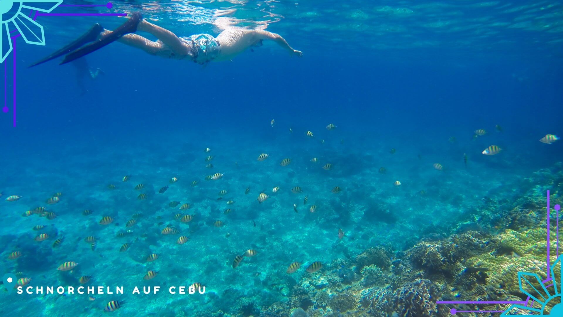 Schnorcheln Philippinen Unterwasserwelt Schnorcheln Philippinen - Unterwasserwelt