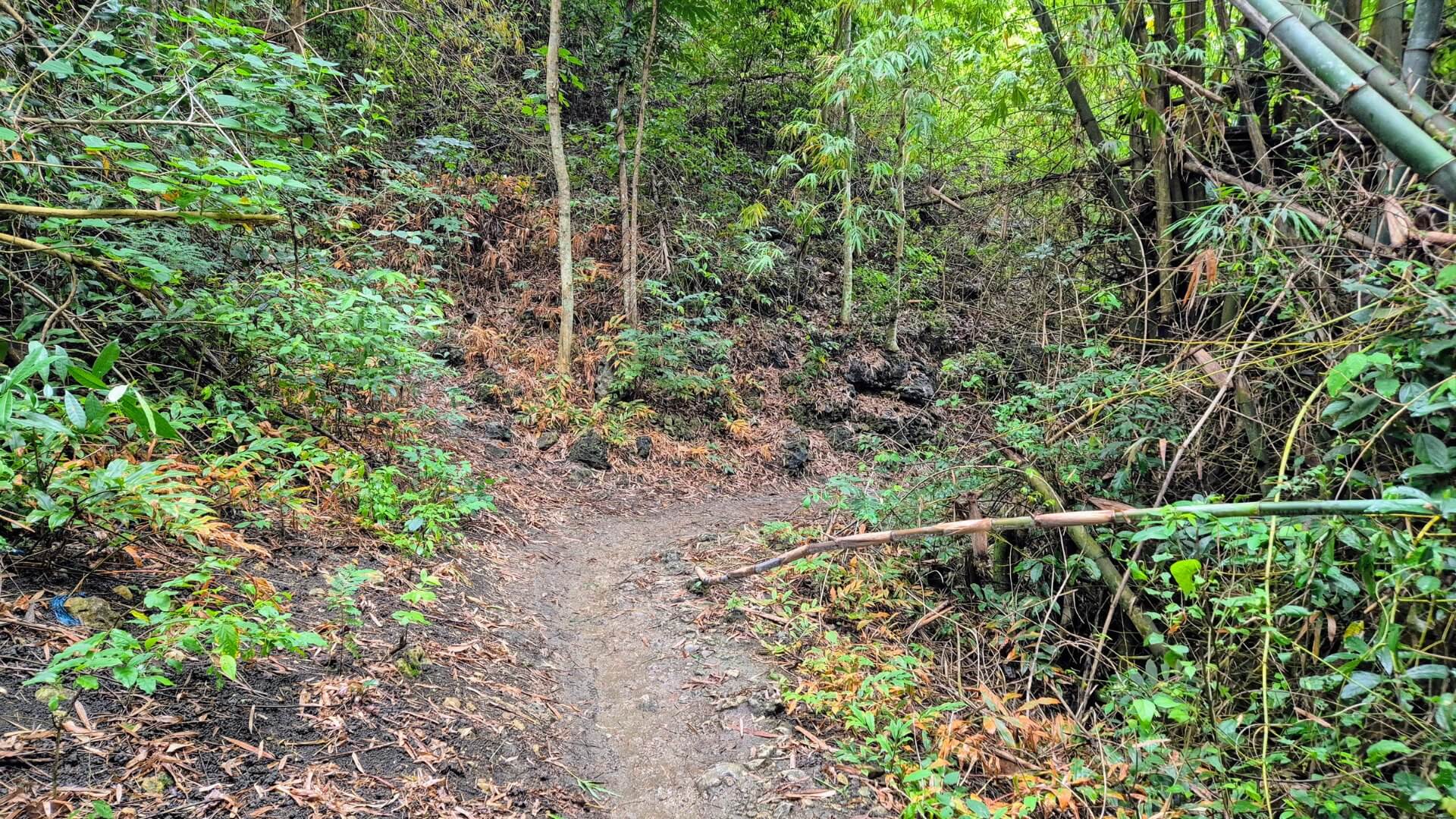Weg zur Busay Cave Moalboal Weg zur Busay Cave Moalboal