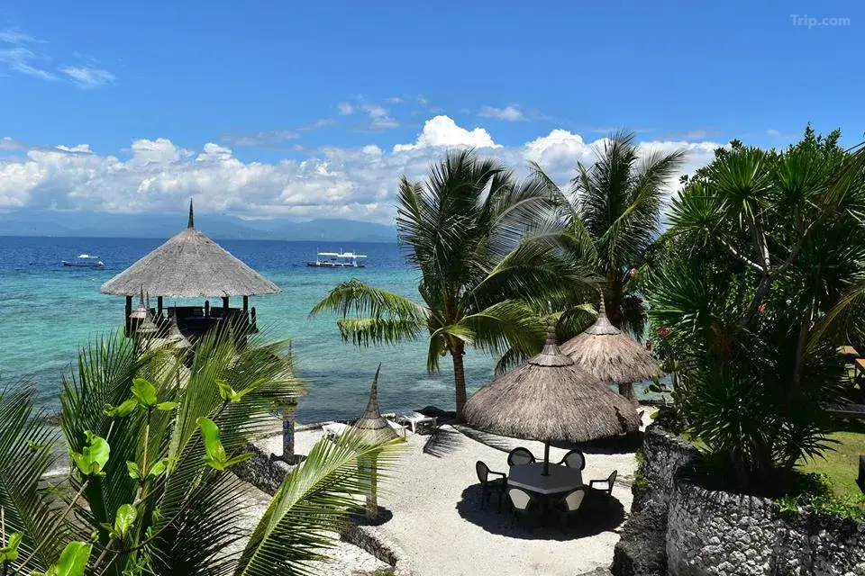 Dolphin House Resort Moalboal Dolphin House Resort Moalboal